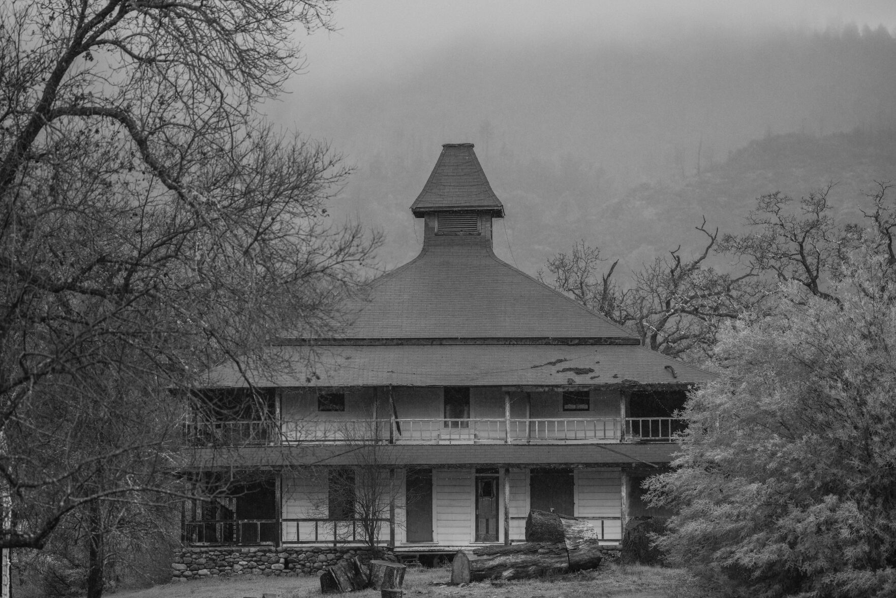 Aetna Springa BW